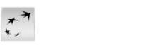 w-BNP Paribas